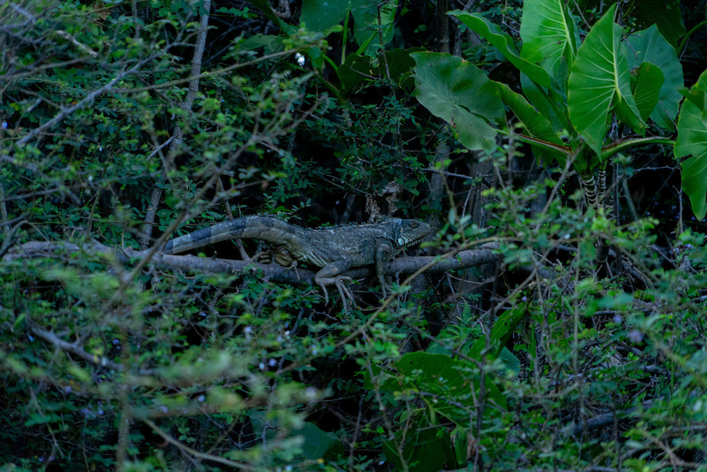 20251028-DeltaTour-0001 | paulependelt - Realisiert mit Pictrs.com