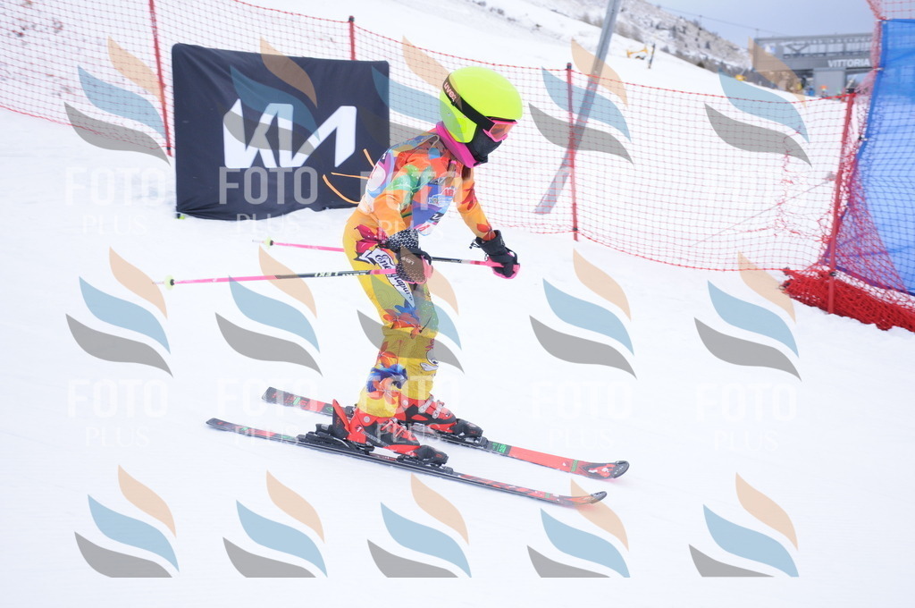 DSC_7946 | holidayphoto