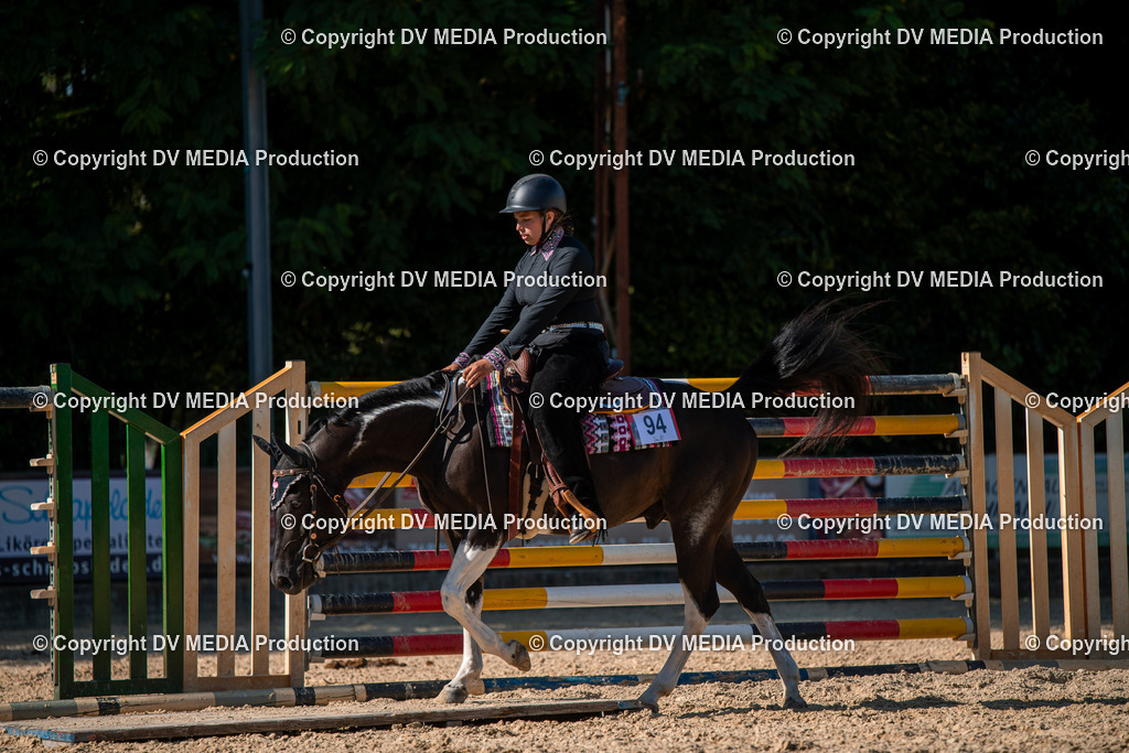 EWP_6992 | dv-media-shop - Realisiert mit Pictrs.com