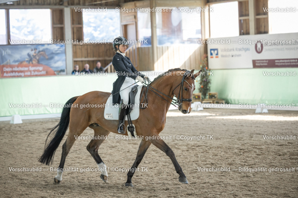 _D5A9986 | Emotionale Pferde- & People-Fotografie rund um Heidelberg, Leimen & Umgebung. Natürliche Fotos von Pferd, Mensch & Familie. Jetzt Termin sichern!