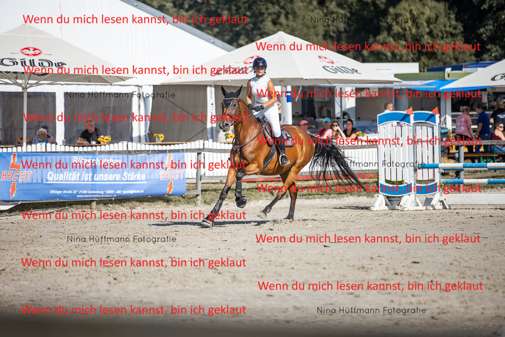 BK1A7271 | Turnierbilder Turnierfotos Nina Hüffmann Turnierfotografie Pferdefotografie Tierzeichnung Haustierzeichnung Pferdezeichnung Hundezeichnung Videograf  - Realisiert mit Pictrs.com