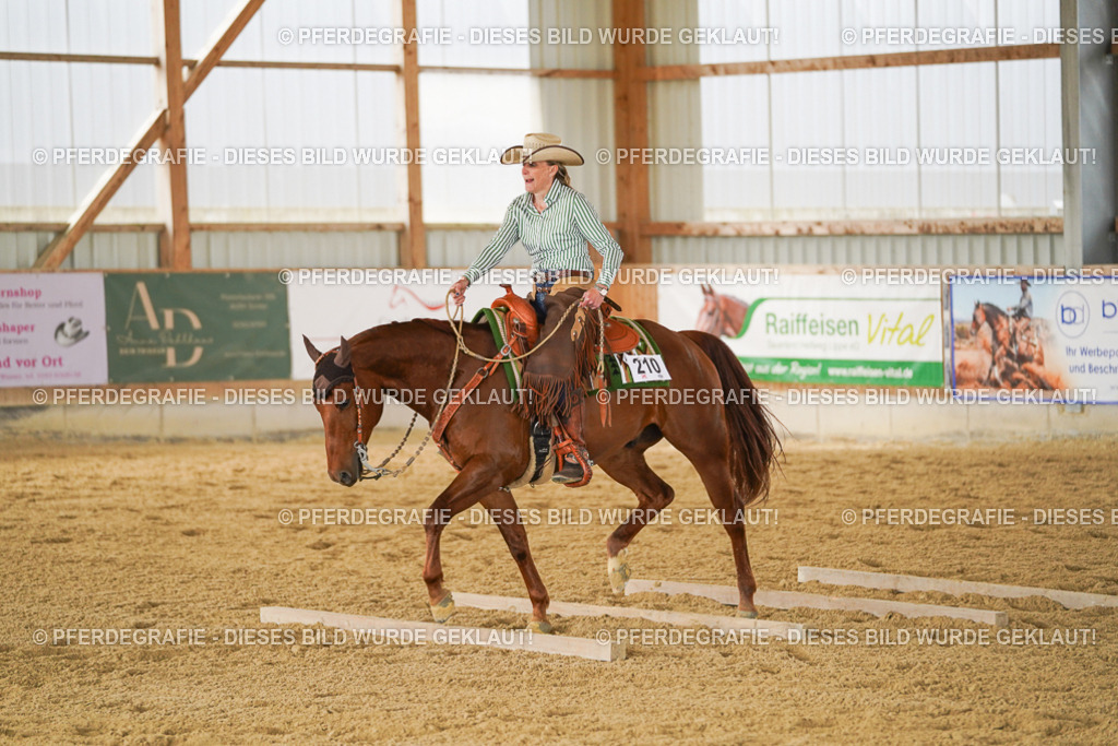 DSC05057 | Pferdegrafie