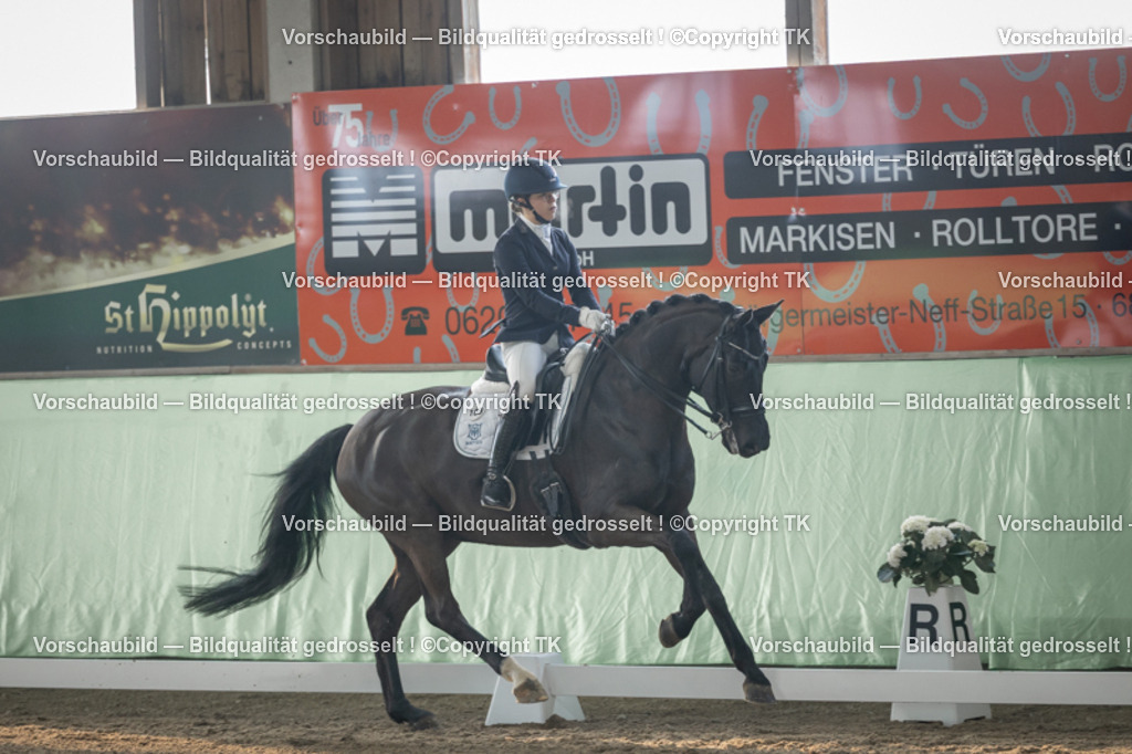 _D5A4149 | Emotionale Pferde- & People-Fotografie rund um Heidelberg, Leimen & Umgebung. Natürliche Fotos von Pferd, Mensch & Familie. Jetzt Termin sichern!