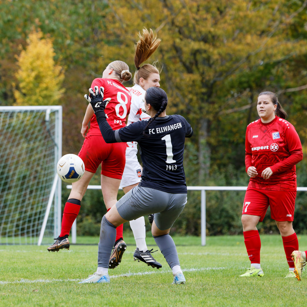 FCEFCH_251012_3971 | Fotopresso – Sportfotografie in Heidenheim & Umgebung. Professionelle Sportfotografie für unvergessliche Momente. Dynamische Action-Shots, emotionale Szenen & hochwertige Bilder. - Realisiert mit Pictrs.com