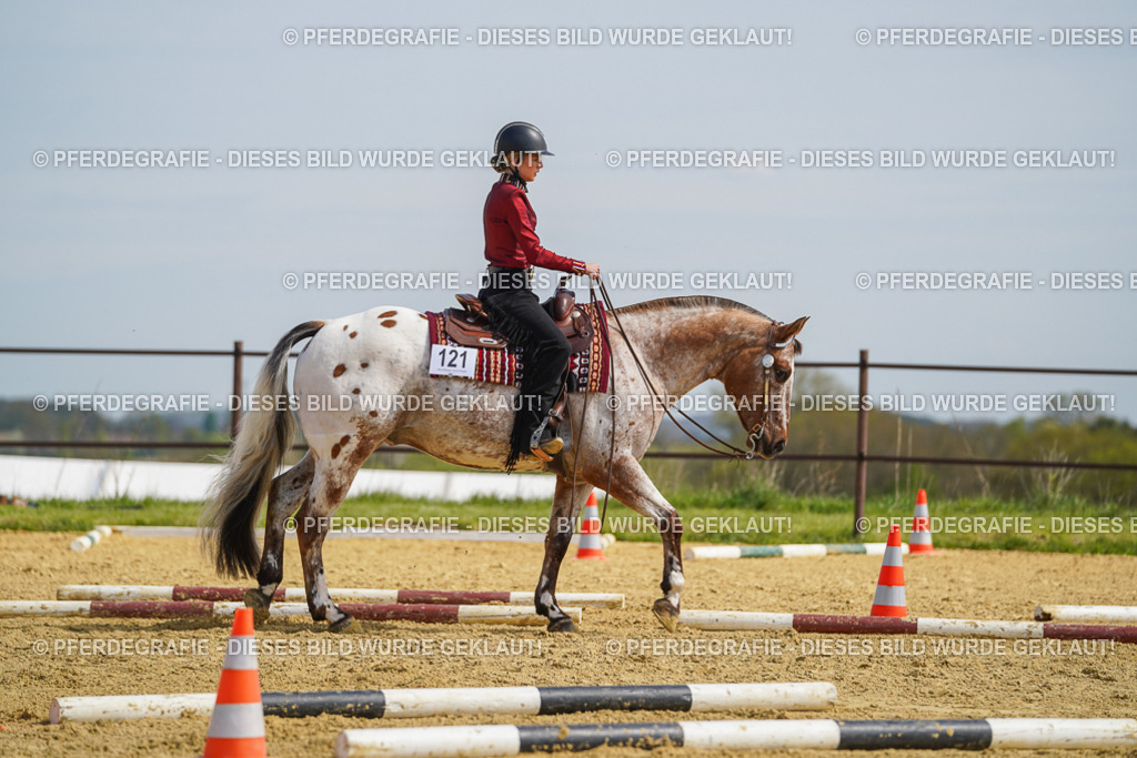 DSC04399 | Pferdegrafie