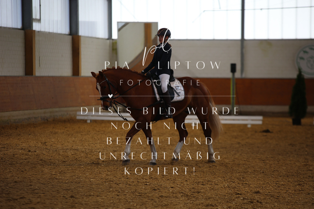 IMGT4020 | pl-fotografie