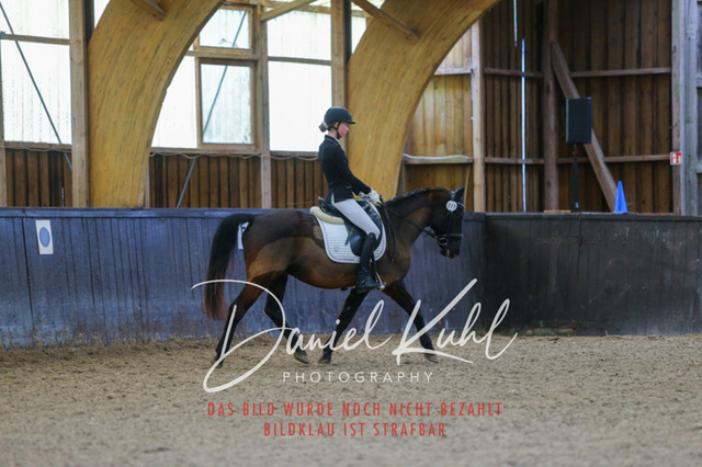 IMG_0390 | Turniersportfotografie; Pferdefotografie; Dressurfotografie