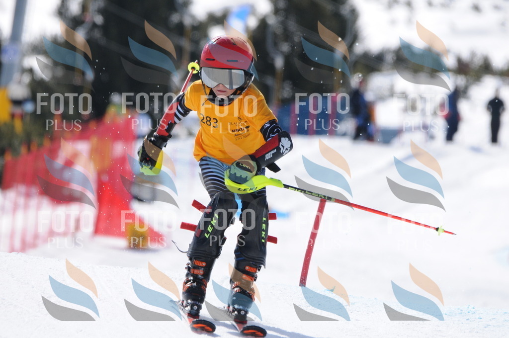 C9027 | holidayphoto