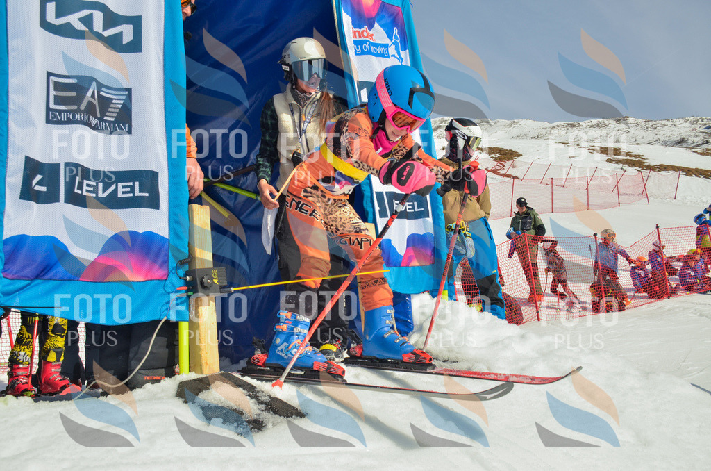 _ELE4372 | holidayphoto