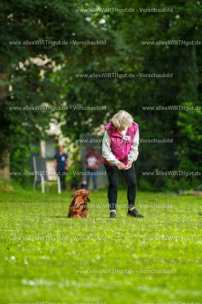 @allesWIRTHgut_Tierfotografie - www.allesWIRTHgut.de - 090704-7R506512 | Professionelle Tierfotografie in Mönchengladbach von Daniel Wirth (allesWIRTHgut). Liebevolle & natürliche Bilder von Hunden & Katzen für unvergessliche Erinnerungen.