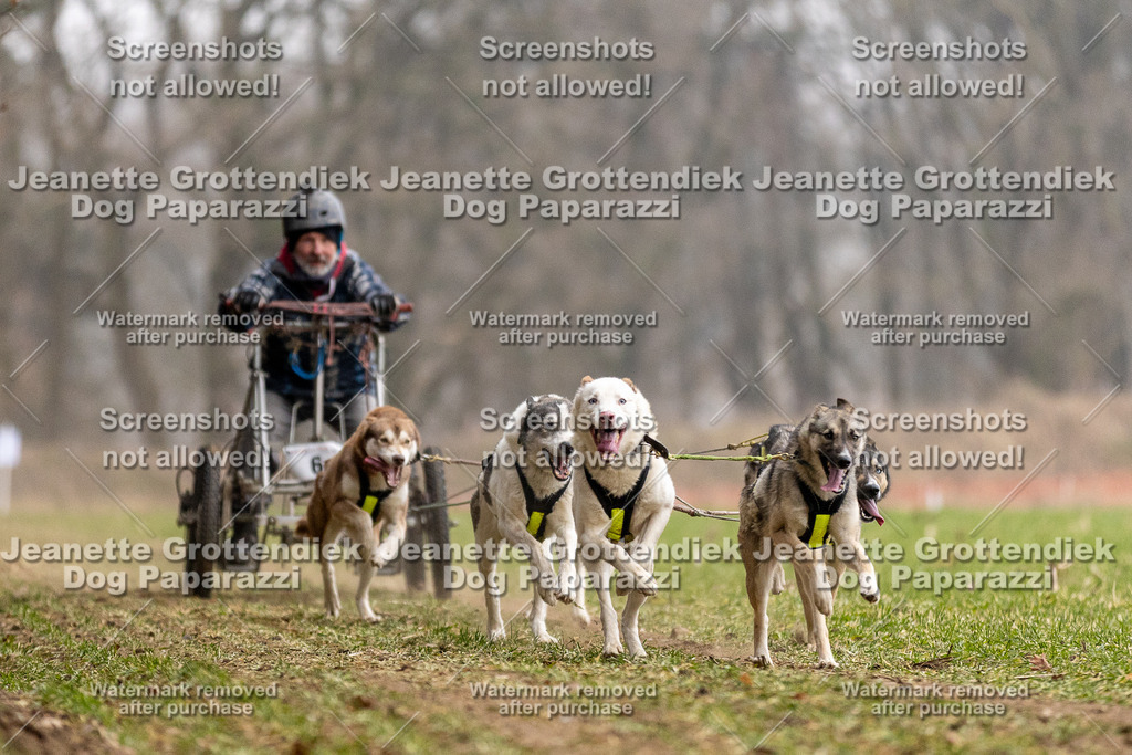 Dog Paparazzi - Plate 2026-24 | Dog Paparazzi Jeanette Grottendiek Fotografie & Videografie - Realisiert mit Pictrs.com