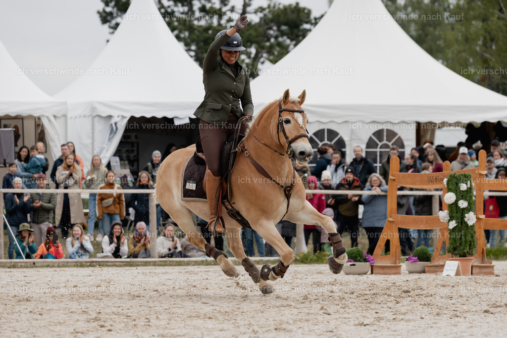 PI26_SP_StoibphotographyC2_C0362.jpg | working equitationturnier fotograf videograf stoibphotography marixx film working equitation deutschland reitsport turnierfotografie eventfotografie equestrian events