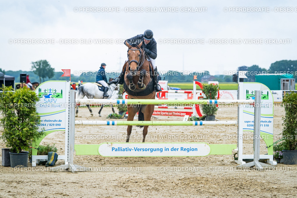 DSC00391 | Pferdegrafie