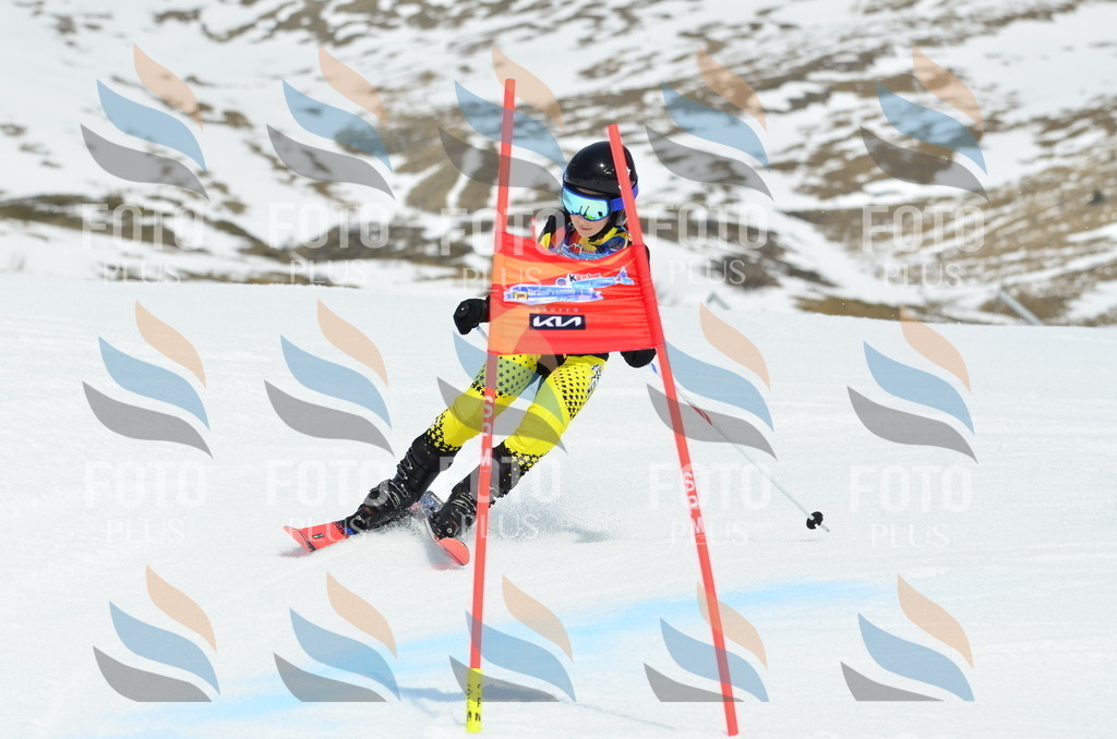 _ELE2579 | holidayphoto