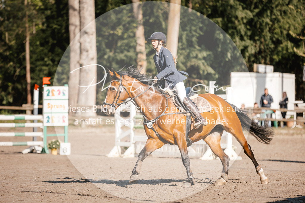 3I6A3754 | Stimmungsvolle Portraits und Reitsportfotografie im Ruhrgebiet und im Münsterland.

Pferdefotografie, Hundefotografie, Tierfotografie, Reportagen, Portraits von Tier und Mensch, Turnierfotografie in Bochum, Recklinghausen, Marl, Haltern am See, Dülmen.. - Realisiert mit Pictrs.com