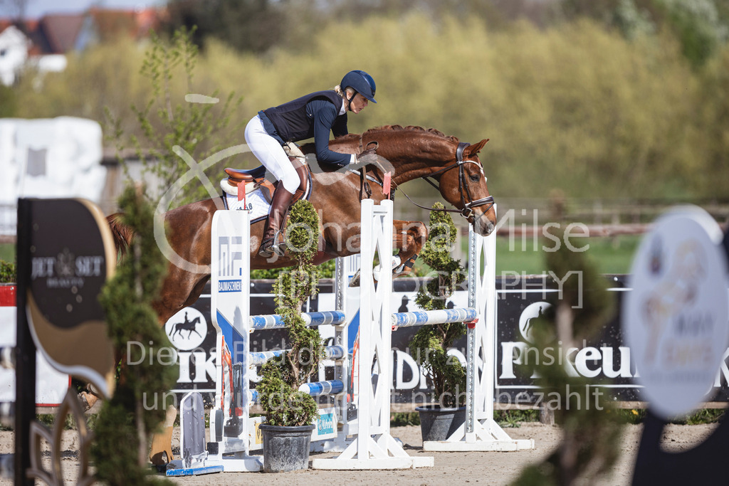 250419_Frühlingsfest_Stil-L-624 | Deine schönsten Turniermomente als professionelle Fotos! Entdecke hochwertige Pferdesport-Fotografie im Online-Shop. Jetzt Fotos finden & bestellen!