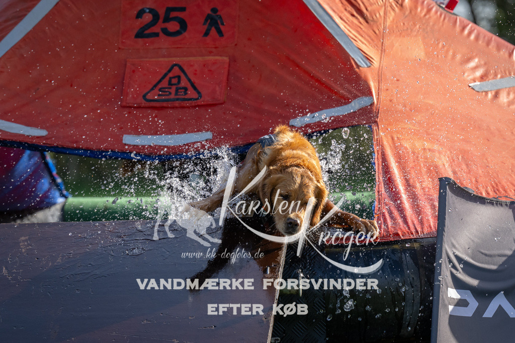 1148-92270 | kk-dogfotos