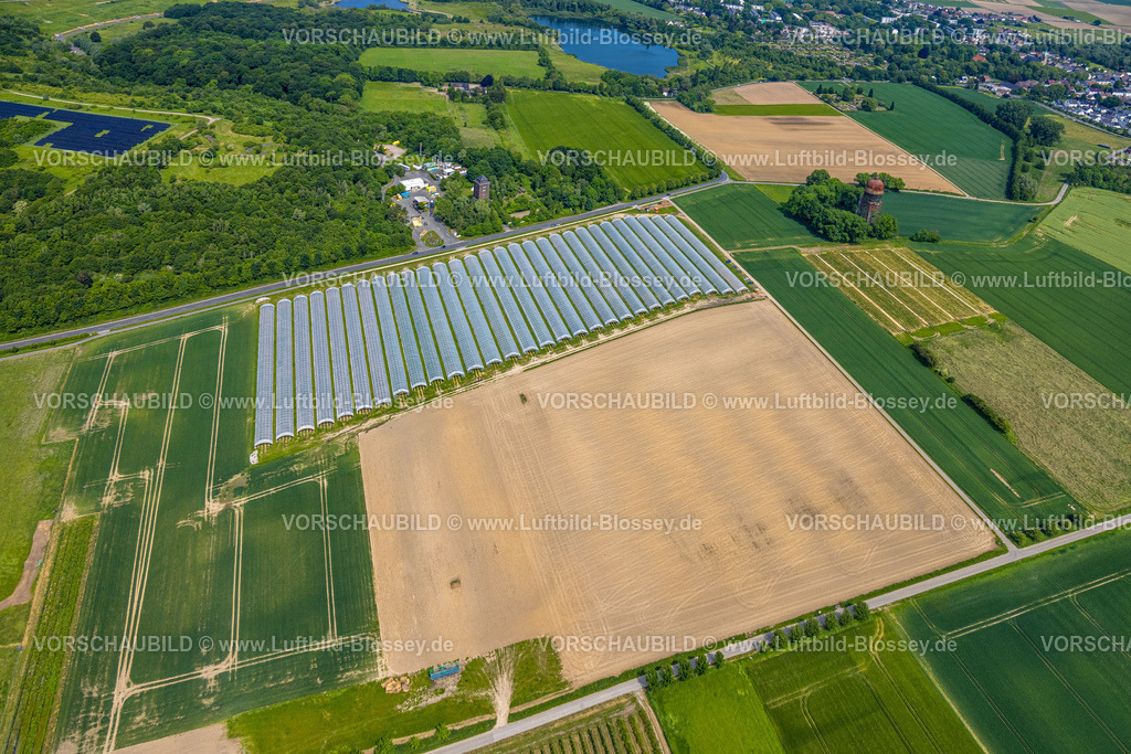 Dortmund240507389 | Erdbeerfelder mit Schutzabdeckung, Erdbeeranbau unter Folie, Bönninghauser Straße, Luftbild, Hostedde, Dortmund, Ruhrgebiet, Nordrhein-Westfalen, Deutschland