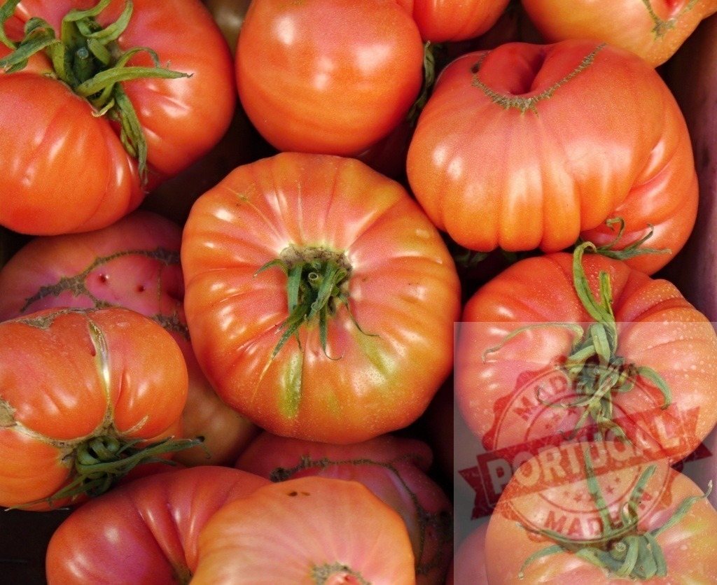 Fresh organic heirloom beefsteak tomatoes harvesting natural food | Ripe pink and red heirloom beefsteak tomatoes filling container after harvest - Realized with Pictrs.com