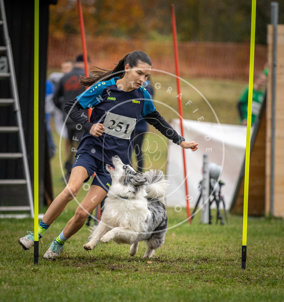 Pfotenfotografie_DV3A0586 | Hundefotografie, Tierfotograf, Pfotenfotografie, Fotoshooting Hund, Hunde Portrait, Hundesport, Hundeportraits, Heideshooting, Hunde, Sportfotograf, Hundefotograf, Turnierhundsport, THS,  - Realisiert mit Pictrs.com