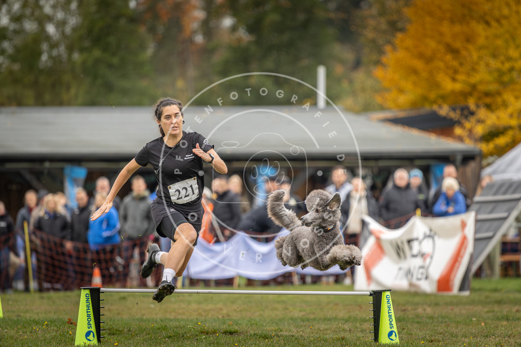 Pfotenfotografie_DV3A3064 | Hundefotografie, Tierfotograf, Pfotenfotografie, Fotoshooting Hund, Hunde Portrait, Hundesport, Hundeportraits, Heideshooting, Hunde, Sportfotograf, Hundefotograf, Turnierhundsport, THS,  - Realisiert mit Pictrs.com