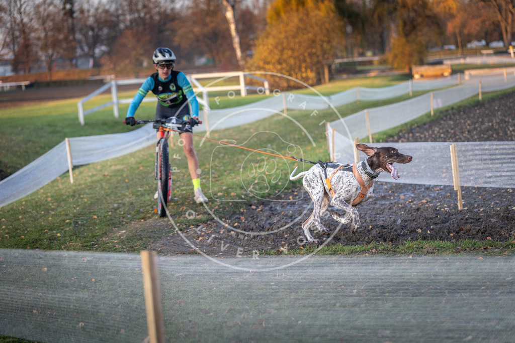 CaniXpix_DV3A9307 | Hundefotografie, Tierfotograf, Pfotenfotografie, Fotoshooting Hund, Hunde Portrait, Hundesport, Hundeportraits, Heideshooting, Hunde, Sportfotograf, Hundefotograf, Turnierhundsport, THS,  - Realisiert mit Pictrs.com