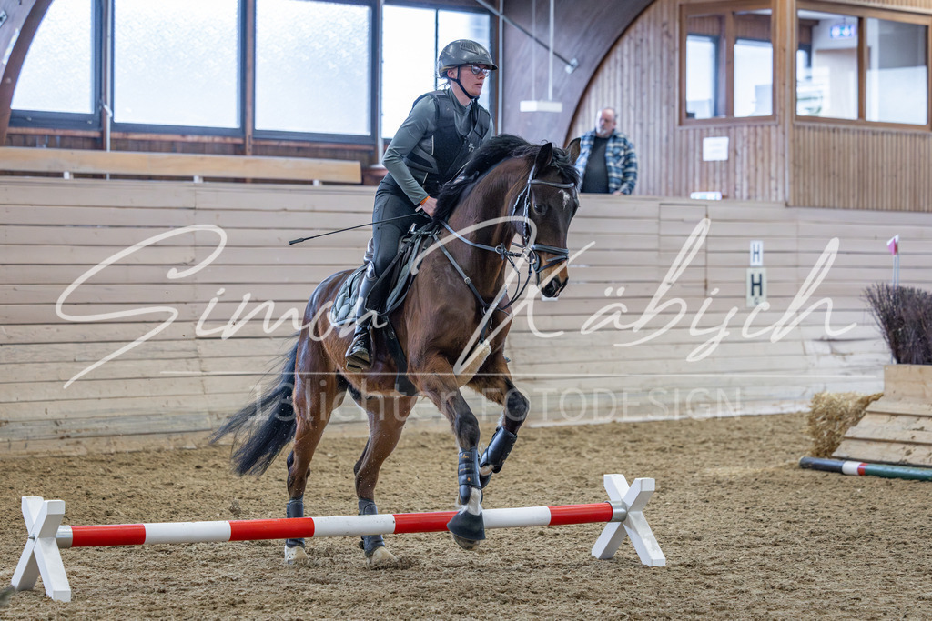 20260221-_3LI9922 | Tierfotografie Pferde, Hunde, Katzen, Haustiere.
Turnierfotografie Reitturniere, Reiten, Springreiten, Dressur in Hanau, dem Main-Kinzig-Kreis und dem Rhein-Main- Gebiet um Frankfurt