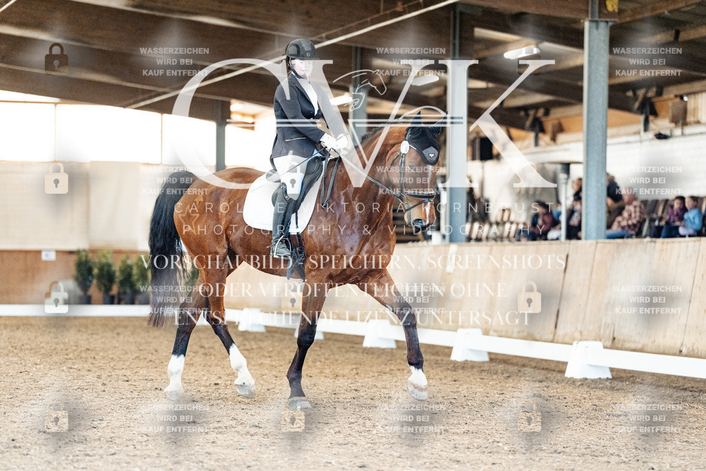 CK909176 | Turnierfotografie Pferdefotografie Trier Rheinland-Pfalz Pferdesport Reitsport Tierfotografie Sportfotografie Pferdevideo Pferdevideografie Equestrianvideography equestrianphotography  - Realisiert mit Pictrs.com