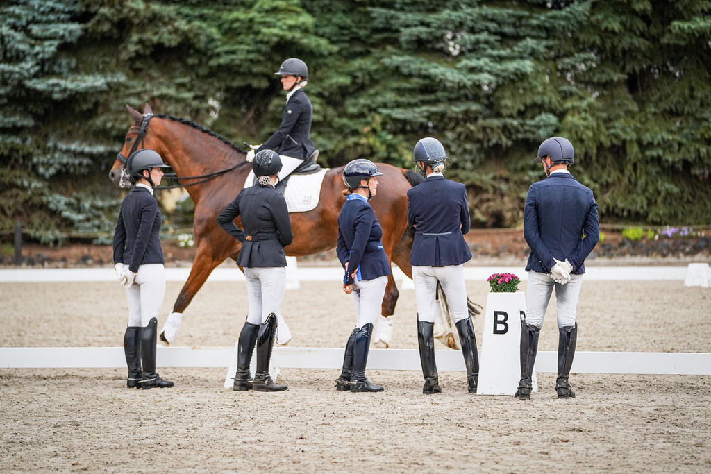 DSC09909 | Pferdegrafie