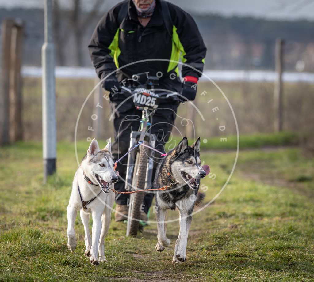 Pfotenfotografie_DV3A6900 | Hundefotografie, Tierfotograf, Pfotenfotografie, Fotoshooting Hund, Hunde Portrait, Hundesport, Hundeportraits, Heideshooting, Hunde, Sportfotograf, Hundefotograf, Turnierhundsport, THS,  - Realisiert mit Pictrs.com