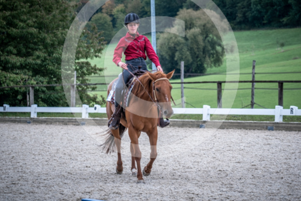 HEB07203 | BS-foto