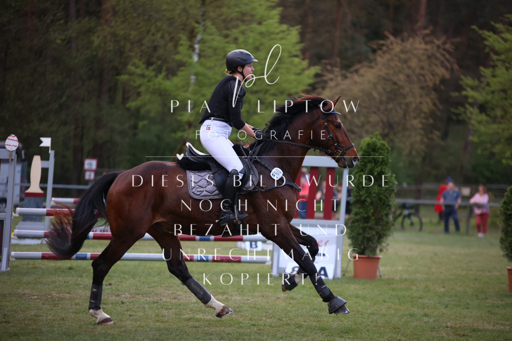 IMGT9461 | pl-fotografie