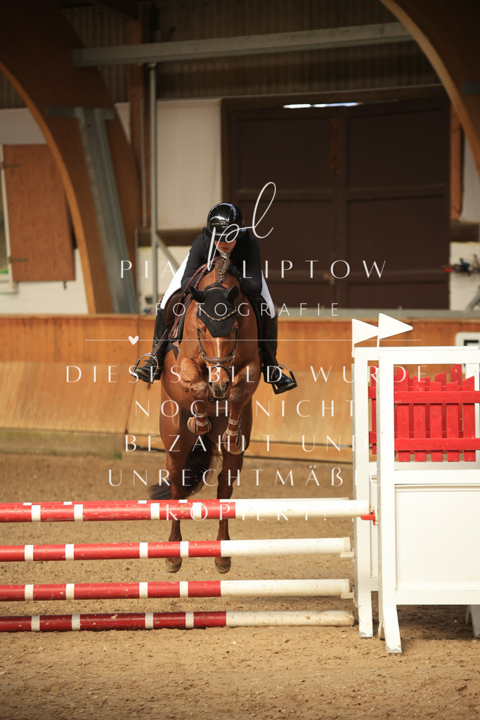 IMGT0619 | pl-fotografie