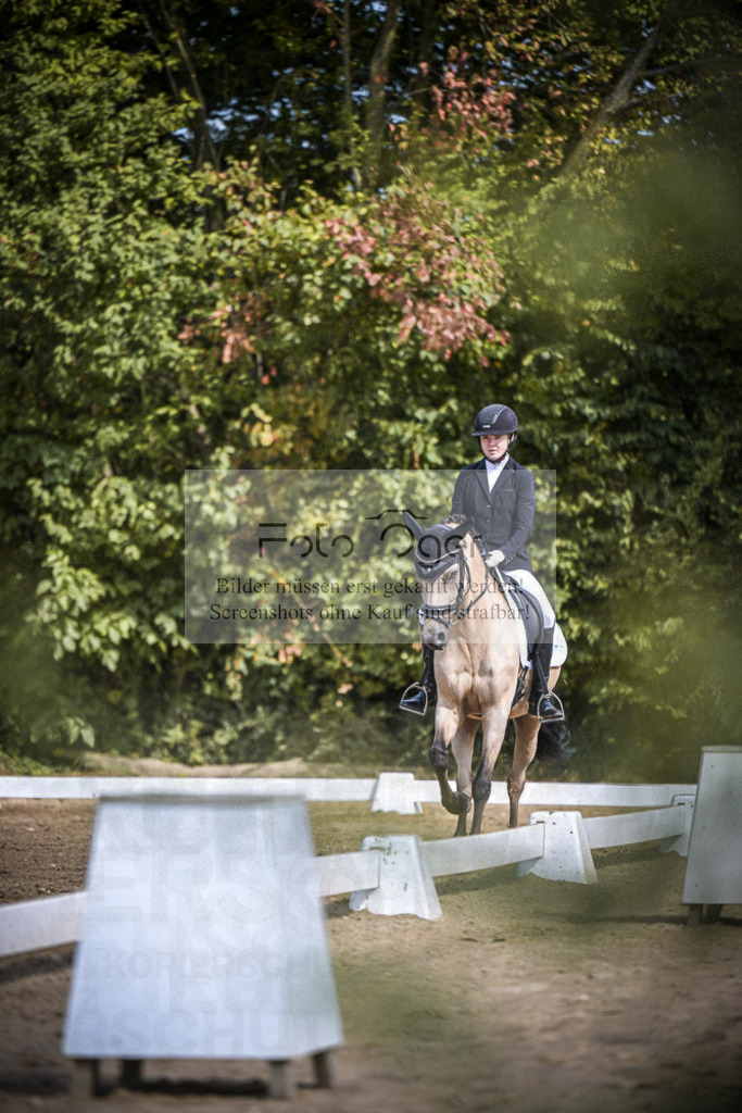 DOS_0696 | Entdecke hochwertige Reitturnierfotos von Foto Oger. Professionell, emotional und authentisch – jetzt Lieblingsmomente im Shop bestellen.Deutschlandweite Turnierfotografie. - Realisiert mit Pictrs.com