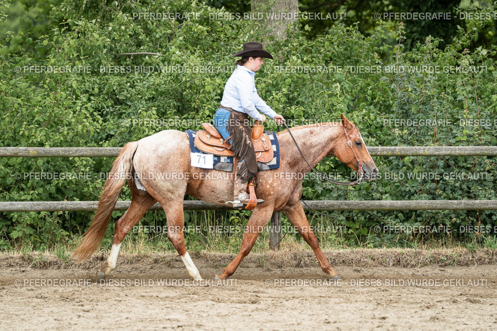 DSC04457 | Pferdegrafie