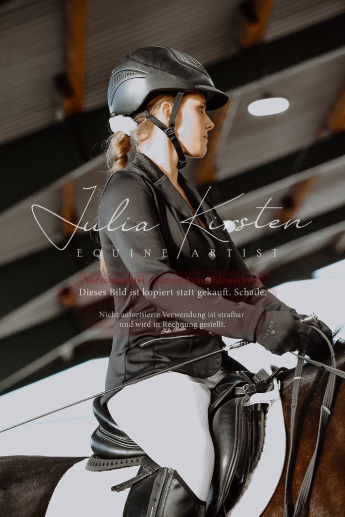 DSC_7550 | Pferde- und Turnierfotografie in Westsachsen. Pferdeportraits, Auftragszeichnungen und intuitive Kunst.