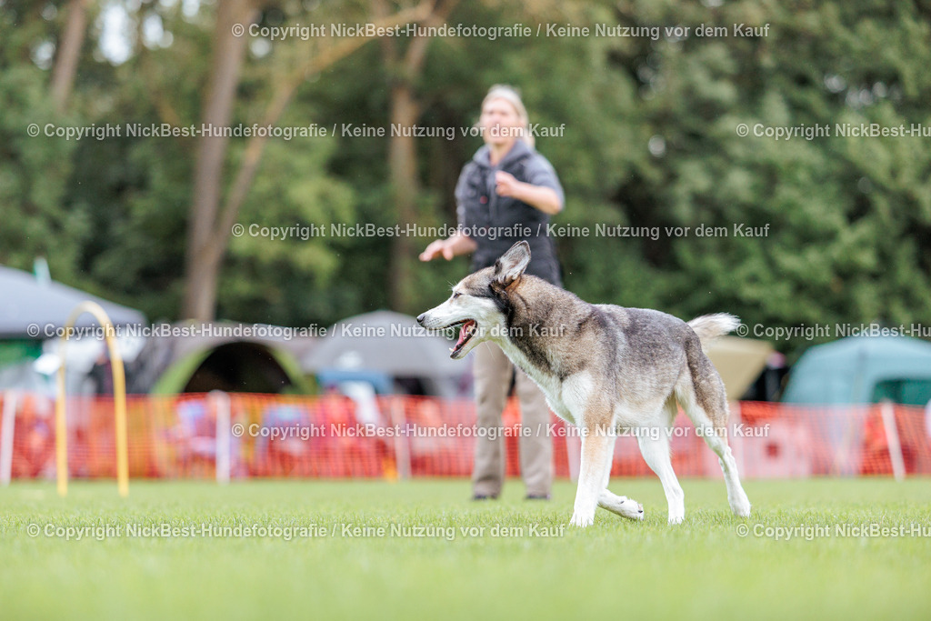 BSP Hoopers-H2 Tag2-2026-Nickbest-Hundefotografie-TuS Komet Arsten e.V.-7018 | Dein Hund! Dein Moment! Deine Erinnerungen! Hundefotografie in Bremen Blumenthal. Ich fange die besonderen Momente deines Vierbeiners ein – ob Indoor mit Blitzanlage oder in der freien Natur. Sicher dir dein Moment und dein Termin für eure Erinnerungen.