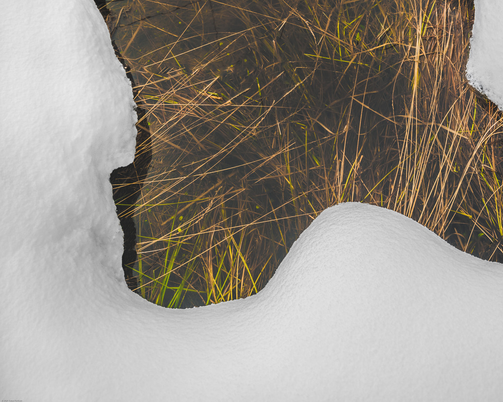 _DSC0446-Edit-2 | renerovisanfotoart.com