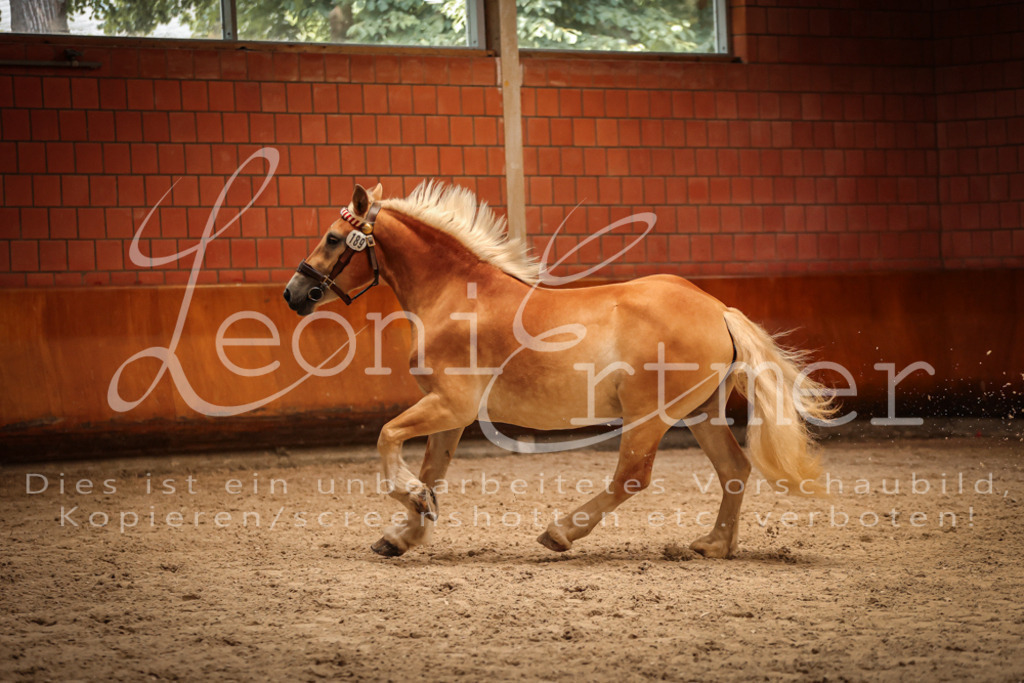 SaFL00207 | Leoni Ertmer Photography - Realisiert mit Pictrs.com