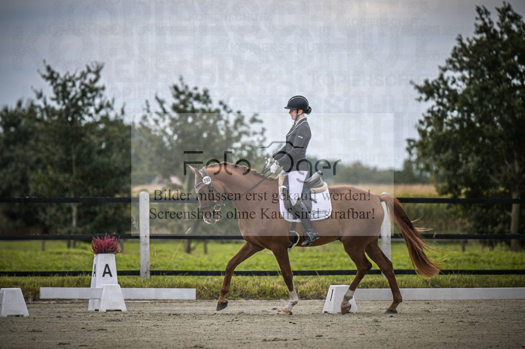 DOS_0103 | Entdecke hochwertige Reitturnierfotos von Foto Oger. Professionell, emotional und authentisch – jetzt Lieblingsmomente im Shop bestellen.Deutschlandweite Turnierfotografie. - Realisiert mit Pictrs.com