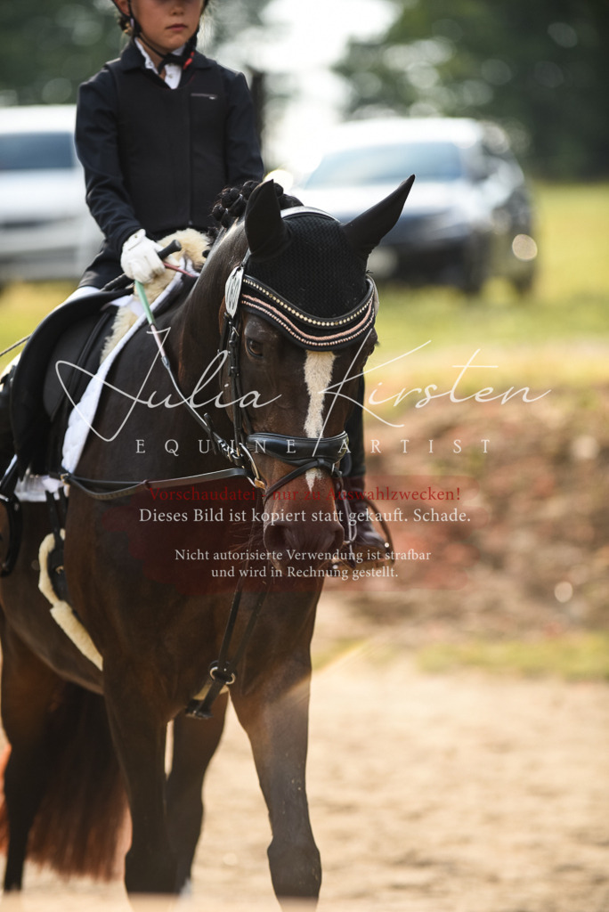DSC_3465 | Pferde- und Turnierfotografie in Westsachsen. Pferdeportraits, Auftragszeichnungen und intuitive Kunst.