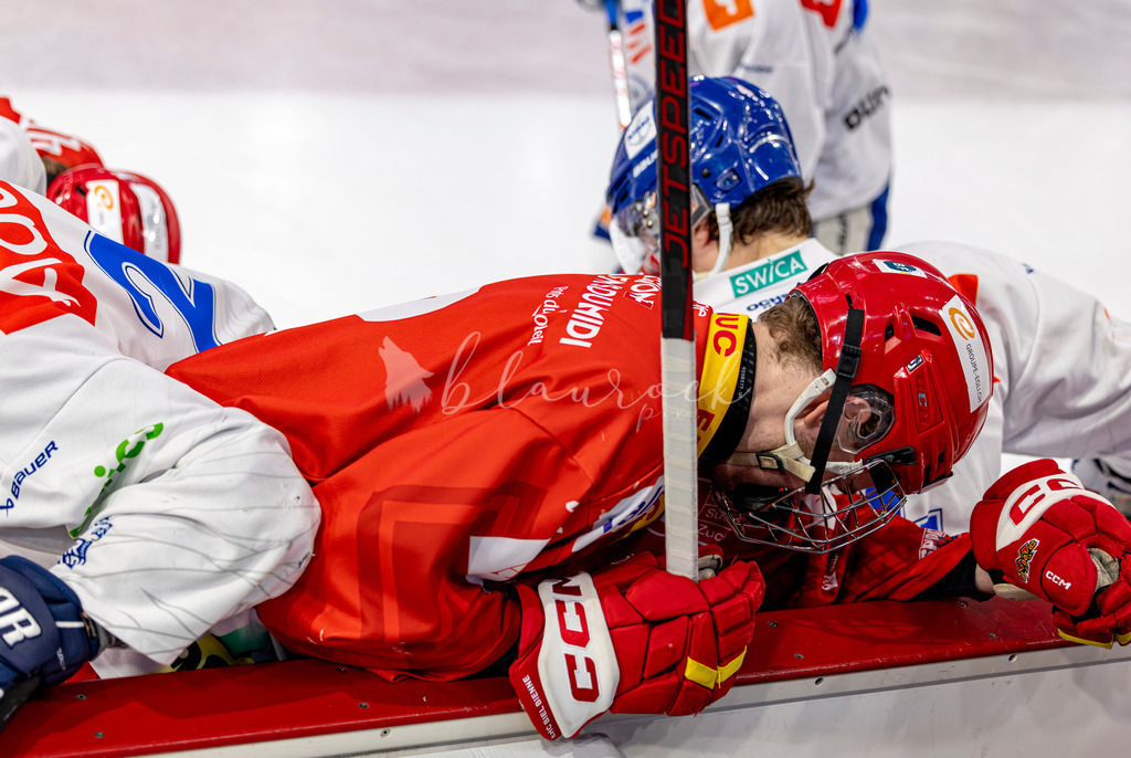 EHCB vs GCK _1-910058496 | Sportbilder, Sportfotograf, Hochzeits- und Eventfotografin, Flugshows, Portraits und Tiershooting, Aviation, Downhill, Nationalleague, Swissleague, International