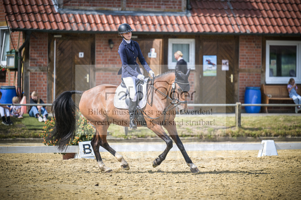 DOS_7565 | Entdecke hochwertige Reitturnierfotos von Foto Oger. Professionell, emotional und authentisch – jetzt Lieblingsmomente im Shop bestellen.Deutschlandweite Turnierfotografie. - Realisiert mit Pictrs.com
