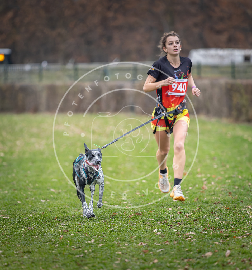 CaniXpix_DV3A7224 | Hundefotografie, Tierfotograf, Pfotenfotografie, Fotoshooting Hund, Hunde Portrait, Hundesport, Hundeportraits, Heideshooting, Hunde, Sportfotograf, Hundefotograf, Turnierhundsport, THS,  - Realisiert mit Pictrs.com