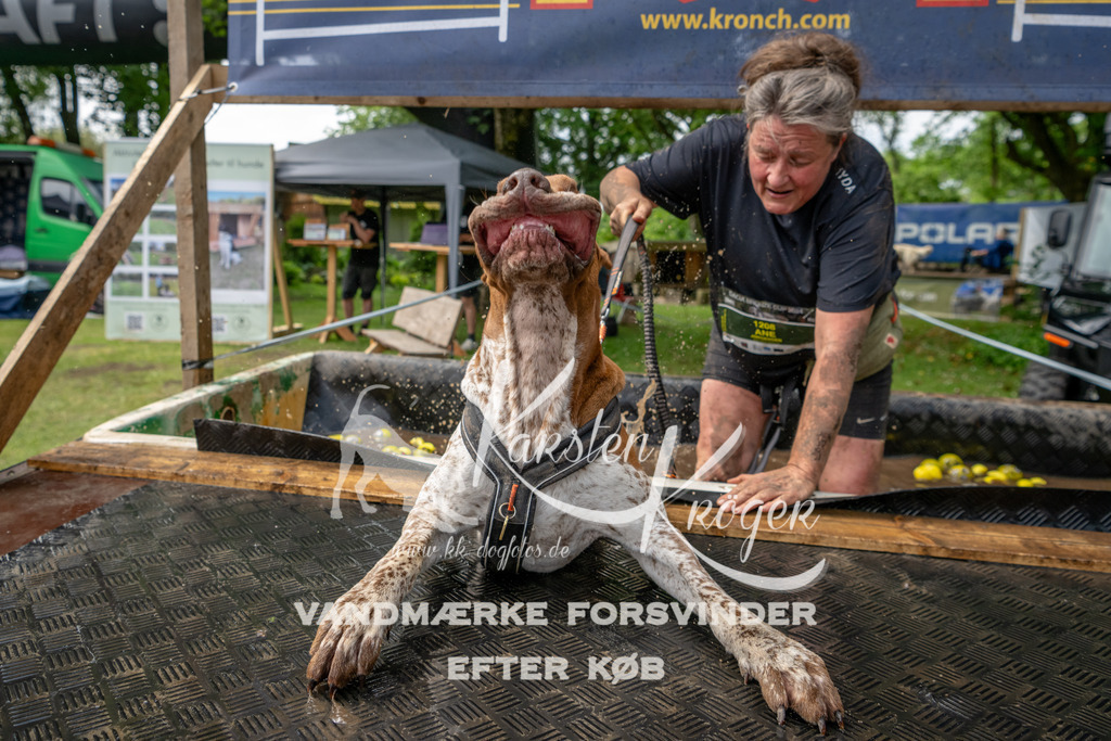 1123_ZZ94040 | kk-dogfotos