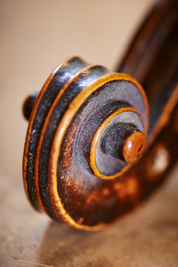 Geigenbau Rainer | Wien, Austria - May 08, 2017: Geigenbau Rainer; Detail einer Geige. - Realisiert mit Pictrs.com