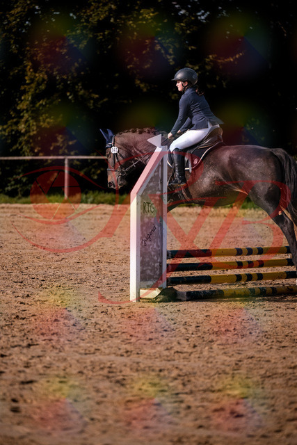 2026_10_03_Siefer-Hof_160043_Z81_81382204 | Professionelle Reitsport-, Turnier- und Eventfotografie von Robert Broda. Galerien mit ausgewählten und bearbeiteten Bildern direkt online ansehen und bestellen.