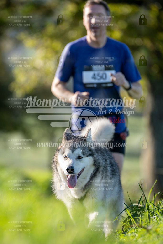 MompixPhotography_20TSB_E3_Run-22 | PayLife