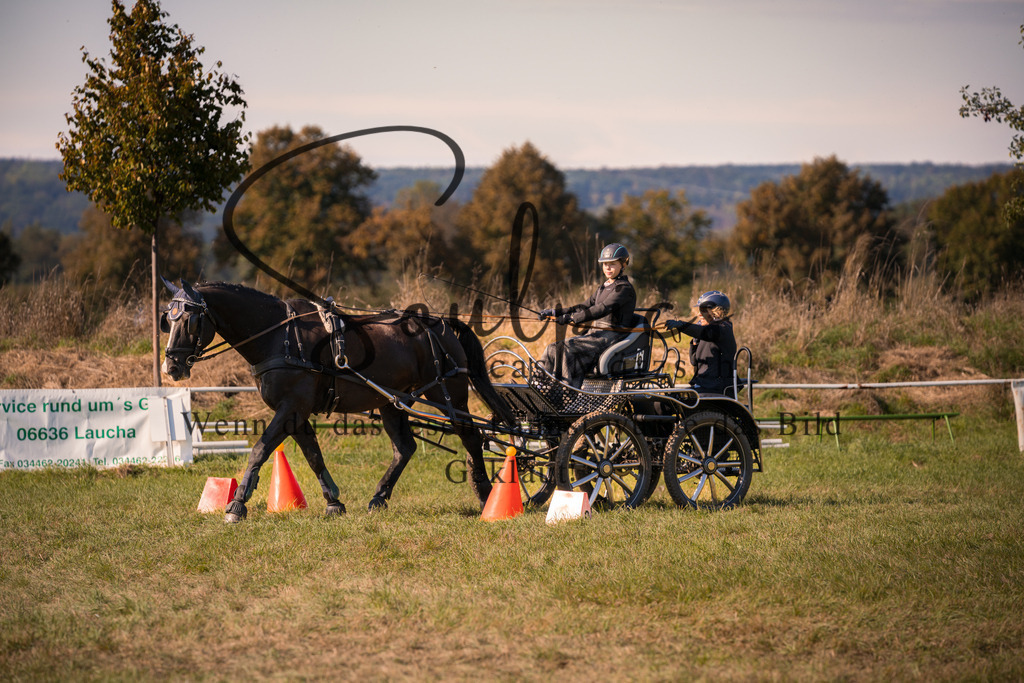 A7V04357 | Pferdefotograf