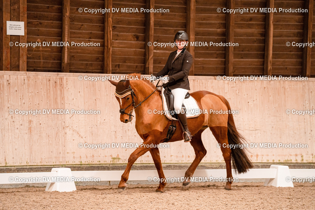 Dressur Tag 2-04 | dv-media-shop - Realisiert mit Pictrs.com